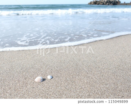 Sea, shore, shells, summer image Sea, shore, shells, summer image 115049899
