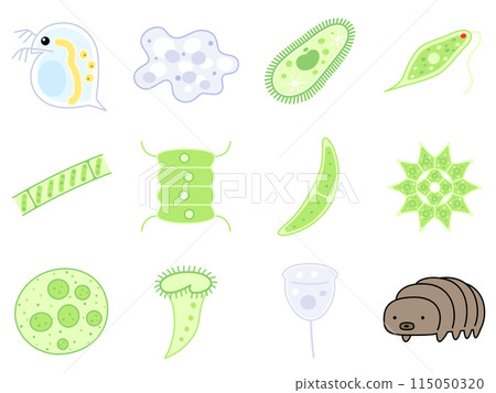 微生物插圖集 微生物插圖集 115050320