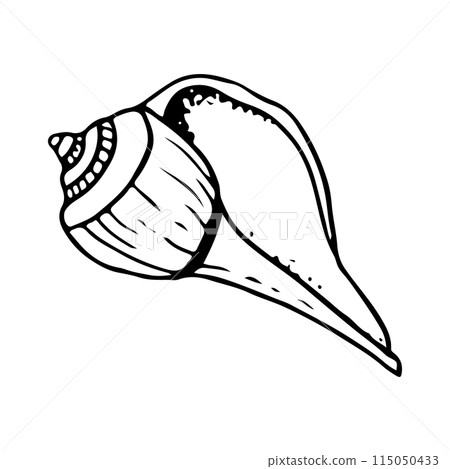 Vector spiral seashell sea snail whelk black and white illustration for coloring pages. Hand drawn line sketch of ocean animal for nautical designs and prints 115050433