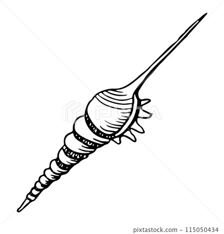Thin spiral seashell of sea snail black and white illustration for coloring pages. Hand drawn line sketch of ocean animal for nautical designs and summer marine prints 115050434