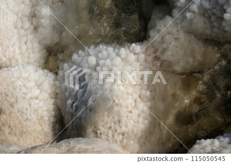 Crystallized salt rocks along the shores of the Dead Sea, Israel 115050545