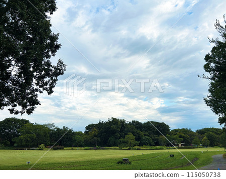 藍天和大公園 115050738