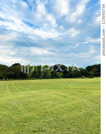 寬闊的草坪面積 115050739