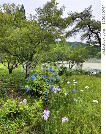 綠色公園 綠色公園 115050744