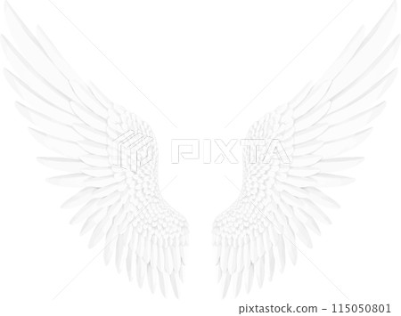 拍打白色的翅膀，天使，上帝，天鵝 115050801
