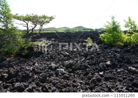 Yakehashiri lava flow, Hachimantai City, Iwate Prefecture 115051260