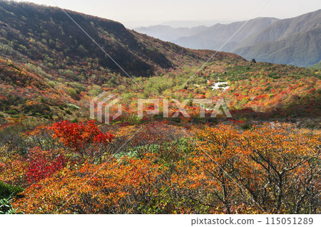 秋天的那須山(茶臼岳),從紅葉山路眺望「姥平」【栃木縣那須鹽原市】 秋天的那須山(茶臼岳),從紅葉山路眺望「姥平」【栃木縣那須鹽原市】 115051289