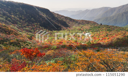 秋天的那須山(茶臼岳),從紅葉山路眺望「姥平」【栃木縣那須鹽原市】 秋天的那須山(茶臼岳),從紅葉山路眺望「姥平」【栃木縣那須鹽原市】 115051290