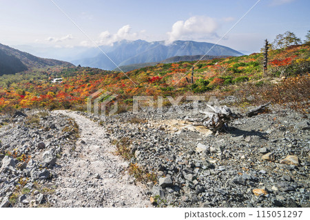 秋天的那須山（茶臼岳），通往「姥平」的山路，落滿了紅葉【栃木縣那須鹽原市】 115051297