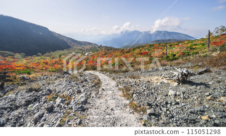 秋天的那須山（茶臼岳），通往「姥平」的山路，落滿了紅葉【栃木縣那須鹽原市】 115051298