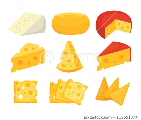 cheese parts and slices vector illustration 115051374