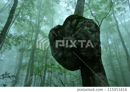 Fog wrapped in fog 115051818