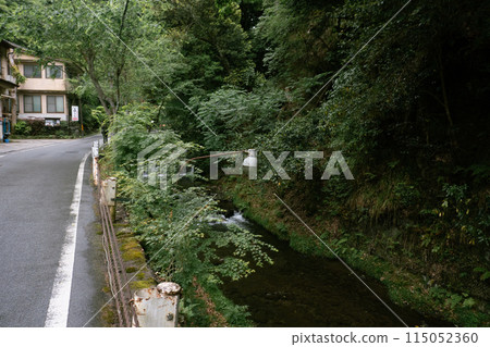 Fresh green Kibune River 115052360