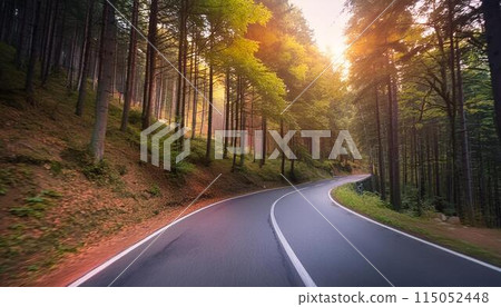 Road through the forest 115052448