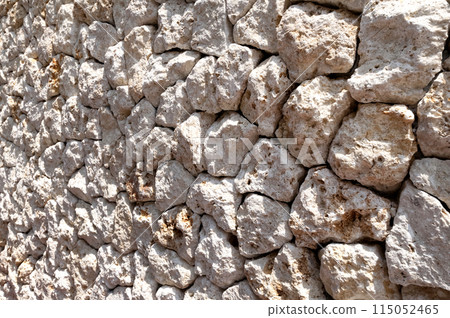 Ryukyu Limestone Wall Ryukyu Limestone Wall 115052465