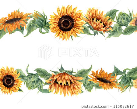 Sunflower with leaf and buds. Wild and garden flower. Horizontal frame with sunflowers. Orange yellow flowers. Floral summer composition with copy space for text. Watercolor illustration. For greeting 115052617