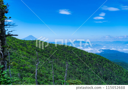 [Mountain material] Mountain scenery seen from Mt. Kokushi in summer [Yamanashi Prefecture] 115052688