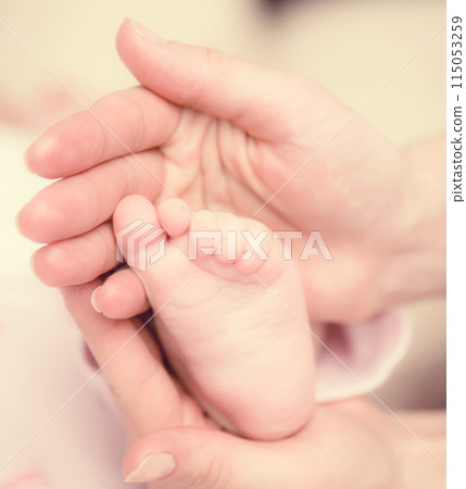 Baby feet Baby feet 115053259