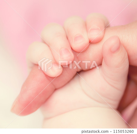 Baby's hand Baby's hand 115053260