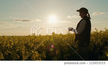 Surrounded by the golden hues of the sunset, a woman farmer stands in a rapeseed field, taking in the beauty of the rural landscape. Surrounded by the golden hues of the sunset, a woman farmer stands in a rapeseed field, taking in the beauty of the rural landscape. 115053515