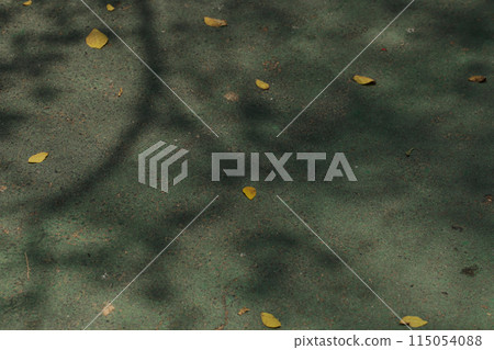 Organic aesthetic shadow nature overlay against green vintage rustic pathway texture background. Organic aesthetic shadow nature overlay against green vintage rustic pathway texture background. 115054088