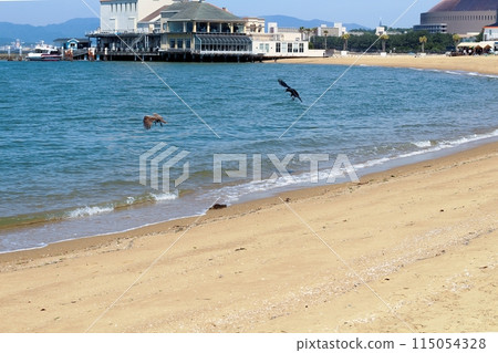 Seaside Momochihama Beach Topi and crows on the sandy beach Seaside Momochihama Beach Topi and crows on the sandy beach 115054328