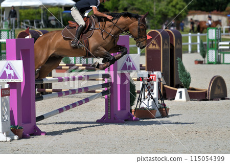 Show Jumping Competition 115054399