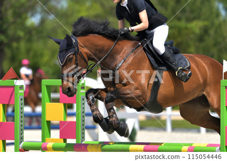 Show Jumping Competition 115054446