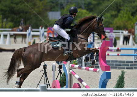 Show Jumping Competition 115054480