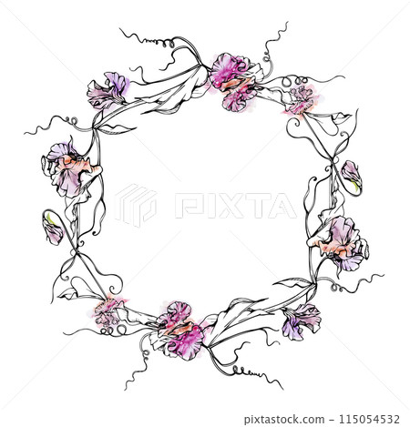 Hand drawn watercolor ink illustration botanical flowers leaves. Sweet everlasting pea, vetch bindweed legume tendrils. Circle wreath isolated white background. Design wedding, love cards, floral shop 115054532