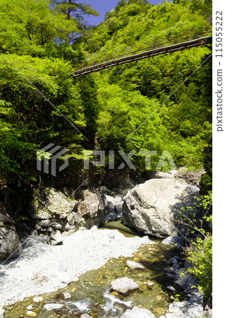 A red suspension bridge among fresh greenery 115055222