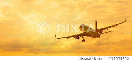 A commercial passenger plane taking off 115055850