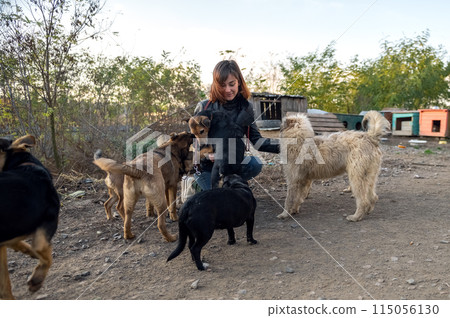 Dog at the shelter. Animal shelter volunteer takes care of dogs. Animal volunteer takes care of homeless animals. Dog at the shelter. Animal shelter volunteer takes care of dogs. Animal volunteer takes care of homeless animals. 115056130