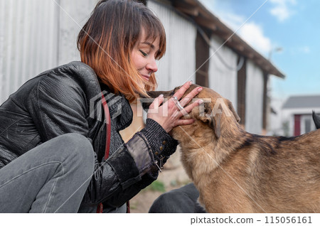 Dog at the shelter. Animal shelter volunteer takes care of dogs. Volunteer taking care of dog in shelter Dog at the shelter. Animal shelter volunteer takes care of dogs. Volunteer taking care of dog in shelter 115056161