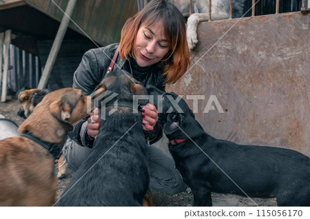 Dog at the shelter. Animal shelter volunteer takes care of dogs. Volunteer taking care of dog in shelter 115056170