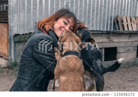 Dog at the shelter. Animal shelter volunteer takes care of dogs. Volunteer taking care of dog in shelter 115056172