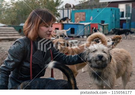 Dog at the shelter. Animal shelter volunteer takes care of dogs. Volunteer taking care of dog in shelter Dog at the shelter. Animal shelter volunteer takes care of dogs. Volunteer taking care of dog in shelter 115056177