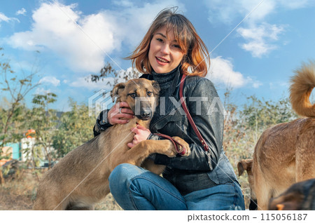 Dog at the shelter. Animal shelter volunteer takes care of dogs. Volunteer taking care of dog in shelter Dog at the shelter. Animal shelter volunteer takes care of dogs. Volunteer taking care of dog in shelter 115056187