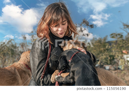 Dog at the shelter. Animal shelter volunteer takes care of dogs. Volunteer taking care of dog in shelter Dog at the shelter. Animal shelter volunteer takes care of dogs. Volunteer taking care of dog in shelter 115056190