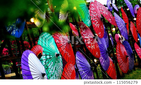 Colorful umbrella Colorful umbrella 115056279