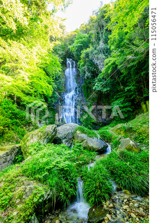 Shimizu Falls in early summer, Ogi City, Saga Prefecture 115056471