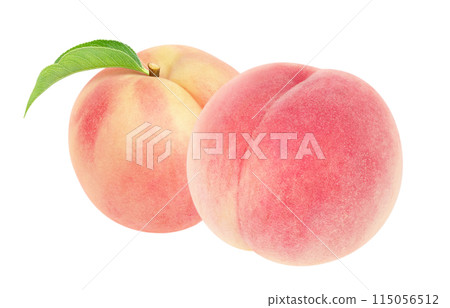 桃圖現實白色背景 115056512