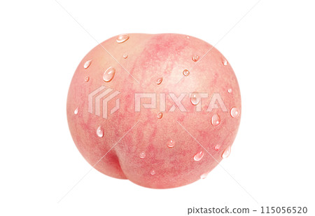 Peach illustration, realistic, white background Peach illustration, realistic, white background 115056520