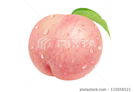 Peach illustration, realistic, white background 115056521