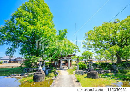 佐賀縣白石町初夏的紐池池和河津嚴島神社 115056631