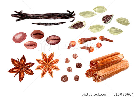 Clove spice, Ceylon cinnamon, coffee, star-anis, cardamom, black pepper, vanilla watercolor set isolated on white, hand drawn. Great for food design, spice box, menu, recipes, organic food ads, labels Clove spice, Ceylon cinnamon, coffee, star-anis, cardamom, black pepper, vanilla watercolor set isolated on white, hand drawn. Great for food design, spice box, menu, recipes, organic food ads, labels 115056664