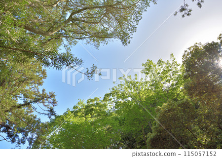 Awa Shrine, Tateyama City, Chiba Prefecture 115057152