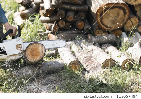 Man cutting wood with a chainsaw Man cutting wood with a chainsaw 115057484