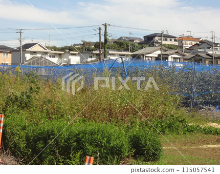 Farmland Farmland 115057541