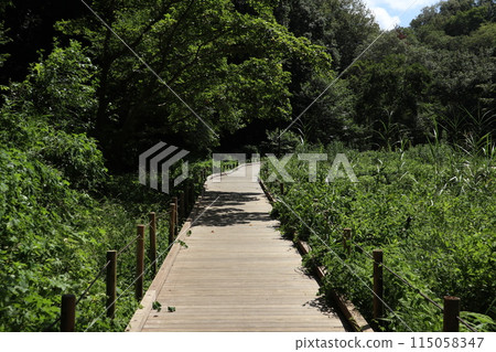 神奈川東高根森林公園 神奈川東高根森林公園 115058347